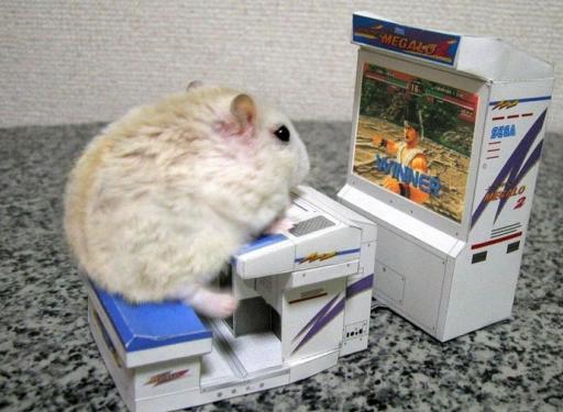 hamster arcade Blank Meme Template