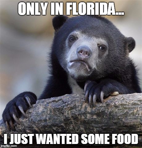 Confession Bear | ONLY IN FLORIDA... I JUST WANTED SOME FOOD | image tagged in memes,confession bear | made w/ Imgflip meme maker