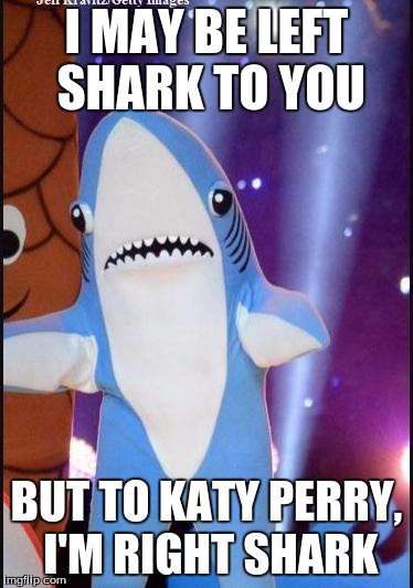 Left shark | I MAY BE LEFT SHARK TO YOU BUT TO KATY PERRY, I'M RIGHT SHARK | image tagged in left shark | made w/ Imgflip meme maker