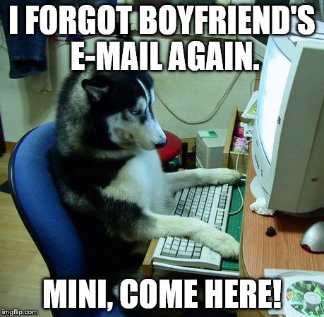 I Have No Idea What I Am Doing | I FORGOT BOYFRIEND'S E-MAIL AGAIN. MINI, COME HERE! | image tagged in memes,i have no idea what i am doing | made w/ Imgflip meme maker
