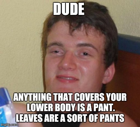10 Guy Meme | DUDE ANYTHING THAT COVERS YOUR LOWER BODY IS A PANT. LEAVES ARE A SORT OF PANTS | image tagged in memes,10 guy | made w/ Imgflip meme maker