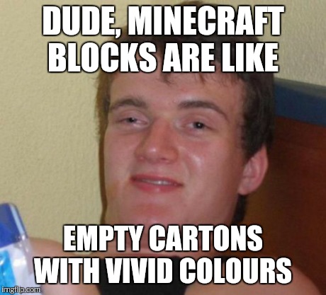 10 Guy Meme | DUDE, MINECRAFT BLOCKS ARE LIKE EMPTY CARTONS WITH VIVID COLOURS | image tagged in memes,10 guy | made w/ Imgflip meme maker