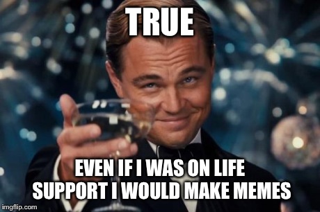 Leonardo Dicaprio Cheers Meme | TRUE EVEN IF I WAS ON LIFE SUPPORT I WOULD MAKE MEMES | image tagged in memes,leonardo dicaprio cheers | made w/ Imgflip meme maker