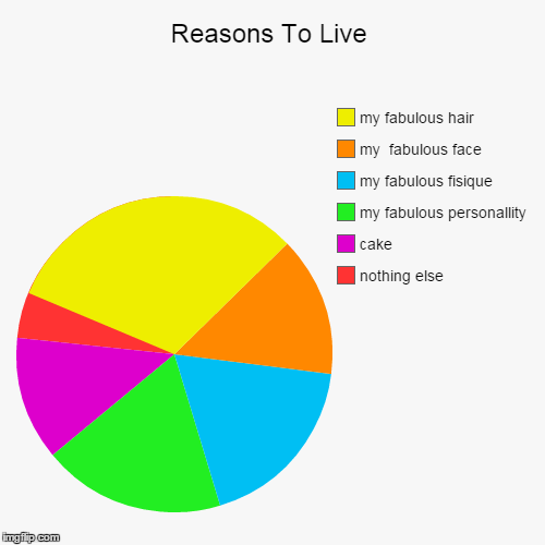 image tagged in funny,pie charts | made w/ Imgflip chart maker