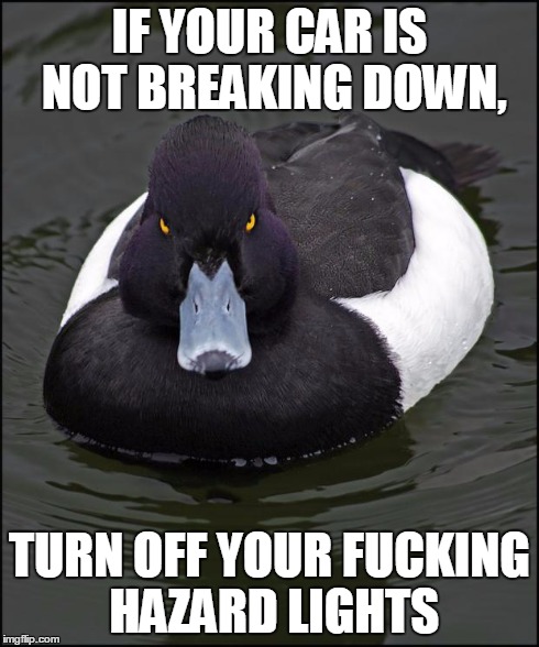 Angry duck | IF YOUR CAR IS NOT BREAKING DOWN, TURN OFF YOUR F**KING HAZARD LIGHTS | image tagged in angry duck | made w/ Imgflip meme maker