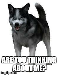 Shadow the dog | ARE YOU THINKING ABOUT ME? | image tagged in shadow the dog | made w/ Imgflip meme maker