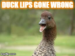 DUCK LIPS GONE WRONG | image tagged in duck lips | made w/ Imgflip meme maker