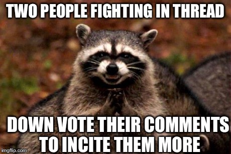 Evil Plotting Raccoon | TWO PEOPLE FIGHTING IN THREAD DOWN VOTE THEIR COMMENTS TO INCITE THEM MORE | image tagged in memes,evil plotting raccoon,AdviceAnimals | made w/ Imgflip meme maker