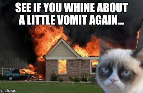 Burn Kitty | SEE IF YOU WHINE ABOUT A LITTLE VOMIT AGAIN... | image tagged in memes,burn kitty | made w/ Imgflip meme maker