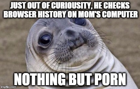 JUST OUT OF CURIOUSITY, HE CHECKS BROWSER HISTORY ON MOM'S COMPUTER NOTHING BUT PORN | image tagged in memes,awkward moment sealion | made w/ Imgflip meme maker