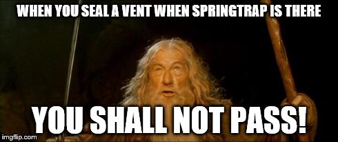 I literally said this when I sealed him in a vent the other day. | WHEN YOU SEAL A VENT WHEN SPRINGTRAP IS THERE YOU SHALL NOT PASS! | image tagged in you shall not pass,fnaf 3,springtrap,gandalf | made w/ Imgflip meme maker