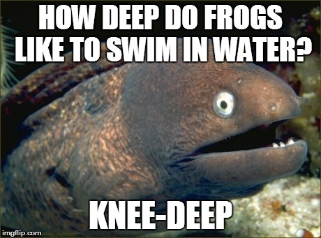 Bad Joke Eel | HOW DEEP DO FROGS LIKE TO SWIM IN WATER? KNEE-DEEP | image tagged in memes,bad joke eel | made w/ Imgflip meme maker