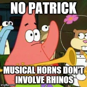 No Patrick Meme | NO PATRICK MUSICAL HORNS DON'T INVOLVE RHINOS | image tagged in memes,no patrick | made w/ Imgflip meme maker