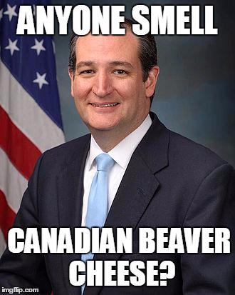 Ted Cruz | ANYONE SMELL CANADIAN BEAVER CHEESE? | image tagged in ted cruz | made w/ Imgflip meme maker