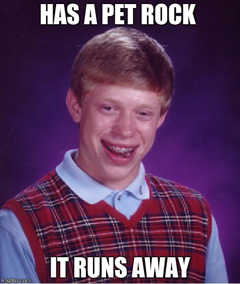 Bad Luck Brian Meme | HAS A PET ROCK IT RUNS AWAY | image tagged in memes,bad luck brian | made w/ Imgflip meme maker