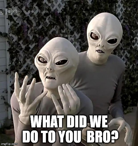 WHAT DID WE DO TO YOU  BRO? | image tagged in frustrated aliens | made w/ Imgflip meme maker