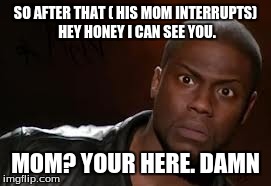 Kevin Hart Meme | SO AFTER THAT ( HIS MOM INTERRUPTS) HEY HONEY I CAN SEE YOU. MOM? YOUR HERE. DAMN | image tagged in memes,kevin hart the hell | made w/ Imgflip meme maker