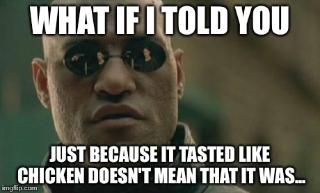 Matrix Morpheus Meme | WHAT IF I TOLD YOU JUST BECAUSE IT TASTED LIKE CHICKEN DOESN'T MEAN THAT IT WAS... | image tagged in memes,matrix morpheus | made w/ Imgflip meme maker