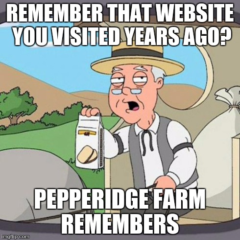Clear your history! | REMEMBER THAT WEBSITE YOU VISITED YEARS AGO? PEPPERIDGE FARM REMEMBERS | image tagged in memes,pepperidge farm remembers,website | made w/ Imgflip meme maker