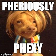 phteven dog | PHERIOUSLY PHEXY | image tagged in phteven dog,scumbag | made w/ Imgflip meme maker