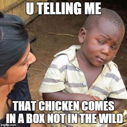 Third World Skeptical Kid Meme | U TELLING ME THAT CHICKEN COMES IN A BOX NOT IN THE WILD | image tagged in memes,third world skeptical kid | made w/ Imgflip meme maker
