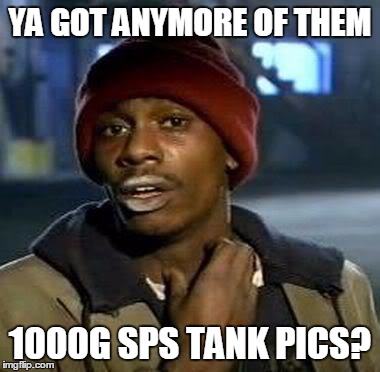 Y'all Got Any More Of That Meme | YA GOT ANYMORE OF THEM 1000G SPS TANK PICS? | image tagged in tyrone biggums | made w/ Imgflip meme maker
