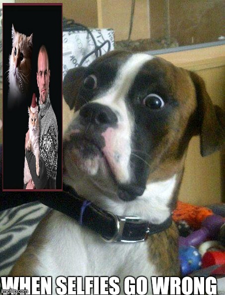 Selfies gone wrong | WHEN SELFIES GO WRONG | image tagged in shocked dog,selfies,funny,funny memes,comedy | made w/ Imgflip meme maker