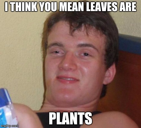 10 Guy Meme | I THINK YOU MEAN LEAVES ARE PLANTS | image tagged in memes,10 guy | made w/ Imgflip meme maker