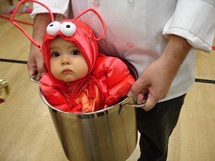 High Quality babylobster Blank Meme Template