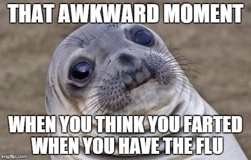 Awkward Moment Sealion | THAT AWKWARD MOMENT WHEN YOU THINK YOU FARTED WHEN YOU HAVE THE FLU | image tagged in memes,awkward moment sealion | made w/ Imgflip meme maker