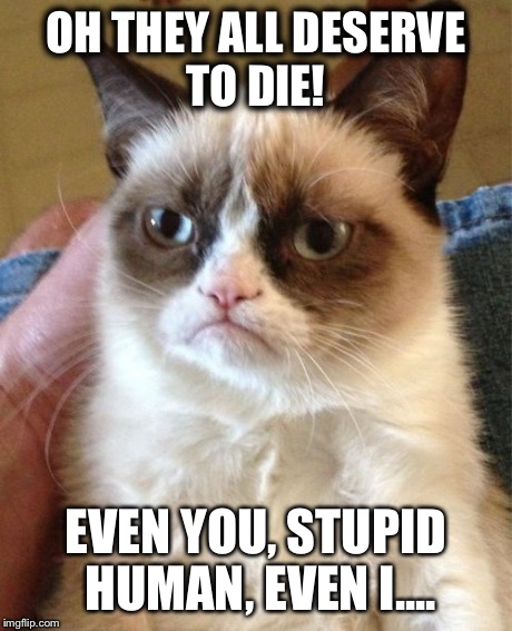 Grumpy Cat Meme | OH THEY ALL DESERVE TO DIE! EVEN YOU, STUPID HUMAN, EVEN I.... | image tagged in memes,grumpy cat | made w/ Imgflip meme maker