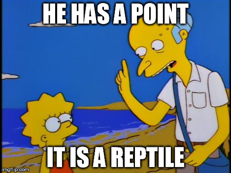 HE HAS A POINT IT IS A REPTILE | image tagged in thrifty burns | made w/ Imgflip meme maker