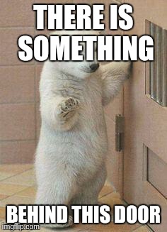 oh never mind polar bear | THERE IS SOMETHING BEHIND THIS DOOR | image tagged in oh never mind polar bear | made w/ Imgflip meme maker