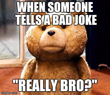 TED Meme | WHEN SOMEONE TELLS A BAD JOKE "REALLY BRO?" | image tagged in memes,ted | made w/ Imgflip meme maker