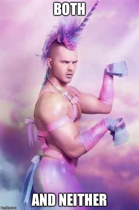 Gay unicorn | BOTH AND NEITHER | image tagged in gay unicorn | made w/ Imgflip meme maker