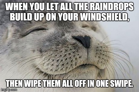 Satisfied Seal Meme | WHEN YOU LET ALL THE RAINDROPS BUILD UP ON YOUR WINDSHIELD, THEN WIPE THEM ALL OFF IN ONE SWIPE. | image tagged in memes,satisfied seal | made w/ Imgflip meme maker