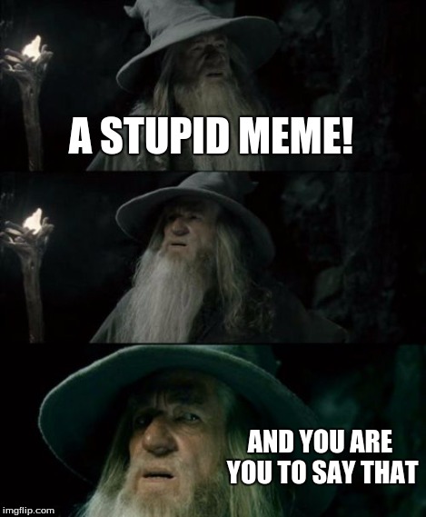 A STUPID MEME! AND YOU ARE YOU TO SAY THAT | image tagged in memes,confused gandalf | made w/ Imgflip meme maker
