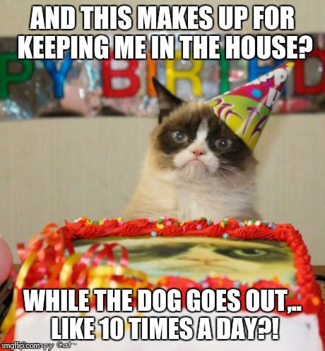 Grumpy Cat Birthday | AND THIS MAKES UP FOR KEEPING ME IN THE HOUSE? WHILE THE DOG GOES OUT,.. LIKE 10 TIMES A DAY?! | image tagged in memes,grumpy cat birthday | made w/ Imgflip meme maker