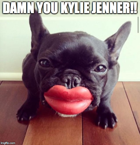 Stupid Kylie and her lip challenge! | DAMN YOU KYLIE JENNER!! | image tagged in kylie jenner,bruce jenner,funny memes,kardashian | made w/ Imgflip meme maker