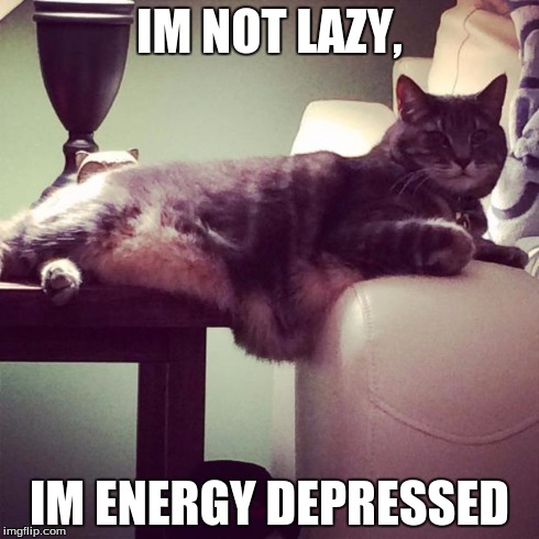 FAT CAT | IM NOT LAZY, IM ENERGY DEPRESSED | image tagged in fat cat | made w/ Imgflip meme maker