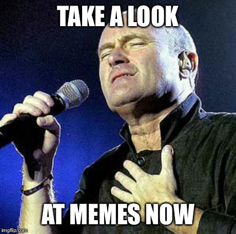 Phil Collins | TAKE A LOOK AT MEMES NOW | image tagged in phil collins | made w/ Imgflip meme maker