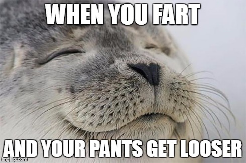 Satisfied Seal Meme | WHEN YOU FART AND YOUR PANTS GET LOOSER | image tagged in memes,satisfied seal | made w/ Imgflip meme maker