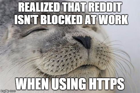 Satisfied Seal | REALIZED THAT REDDIT ISN'T BLOCKED AT WORK WHEN USING HTTPS | image tagged in memes,satisfied seal | made w/ Imgflip meme maker