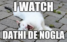 couldn't help but laugh | I WATCH DATHI DE NOGLA | image tagged in couldn't help but laugh | made w/ Imgflip meme maker