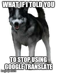 Shadow the dog | WHAT IF I TOLD YOU TO STOP USING GOOGLE TRANSLATE | image tagged in shadow the dog | made w/ Imgflip meme maker