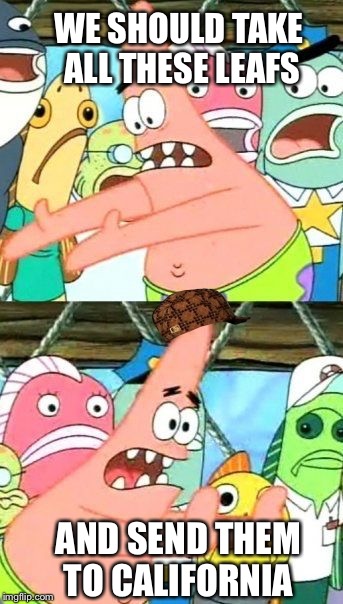 Put It Somewhere Else Patrick Meme | WE SHOULD TAKE ALL THESE LEAFS AND SEND THEM TO CALIFORNIA | image tagged in memes,put it somewhere else patrick,scumbag | made w/ Imgflip meme maker