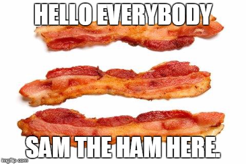 HELLO EVERYBODY SAM THE HAM HERE. | image tagged in bacon | made w/ Imgflip meme maker