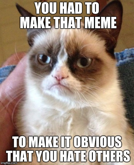 Grumpy Cat Meme | YOU HAD TO MAKE THAT MEME TO MAKE IT OBVIOUS THAT YOU HATE OTHERS | image tagged in memes,grumpy cat | made w/ Imgflip meme maker