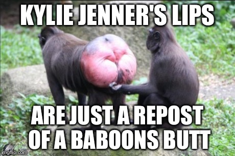 Baboon bottom | KYLIE JENNER'S LIPS ARE JUST A REPOST OF A BABOONS BUTT | image tagged in baboon bottom | made w/ Imgflip meme maker