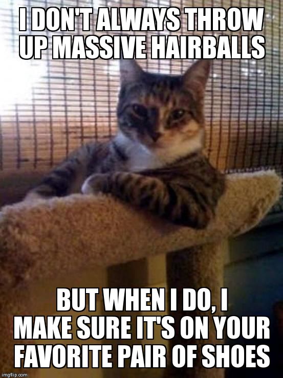 The Most Interesting Cat In The World | image tagged in memes,the most interesting cat in the world | made w/ Imgflip meme maker